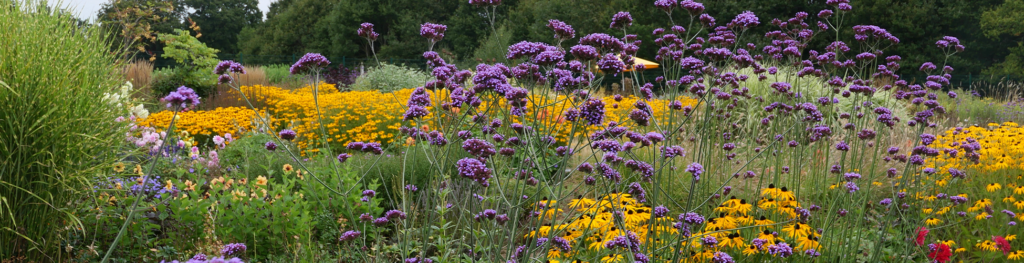 Aventura Gardens, a native plant nursery specializing in plants that pollinators love